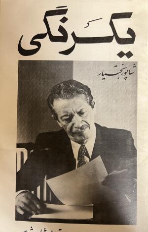 یکرنگی
