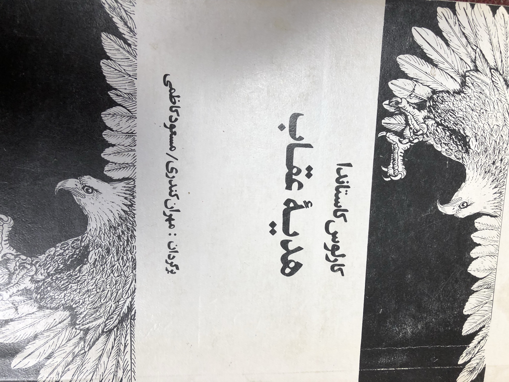 هدیه عقاب