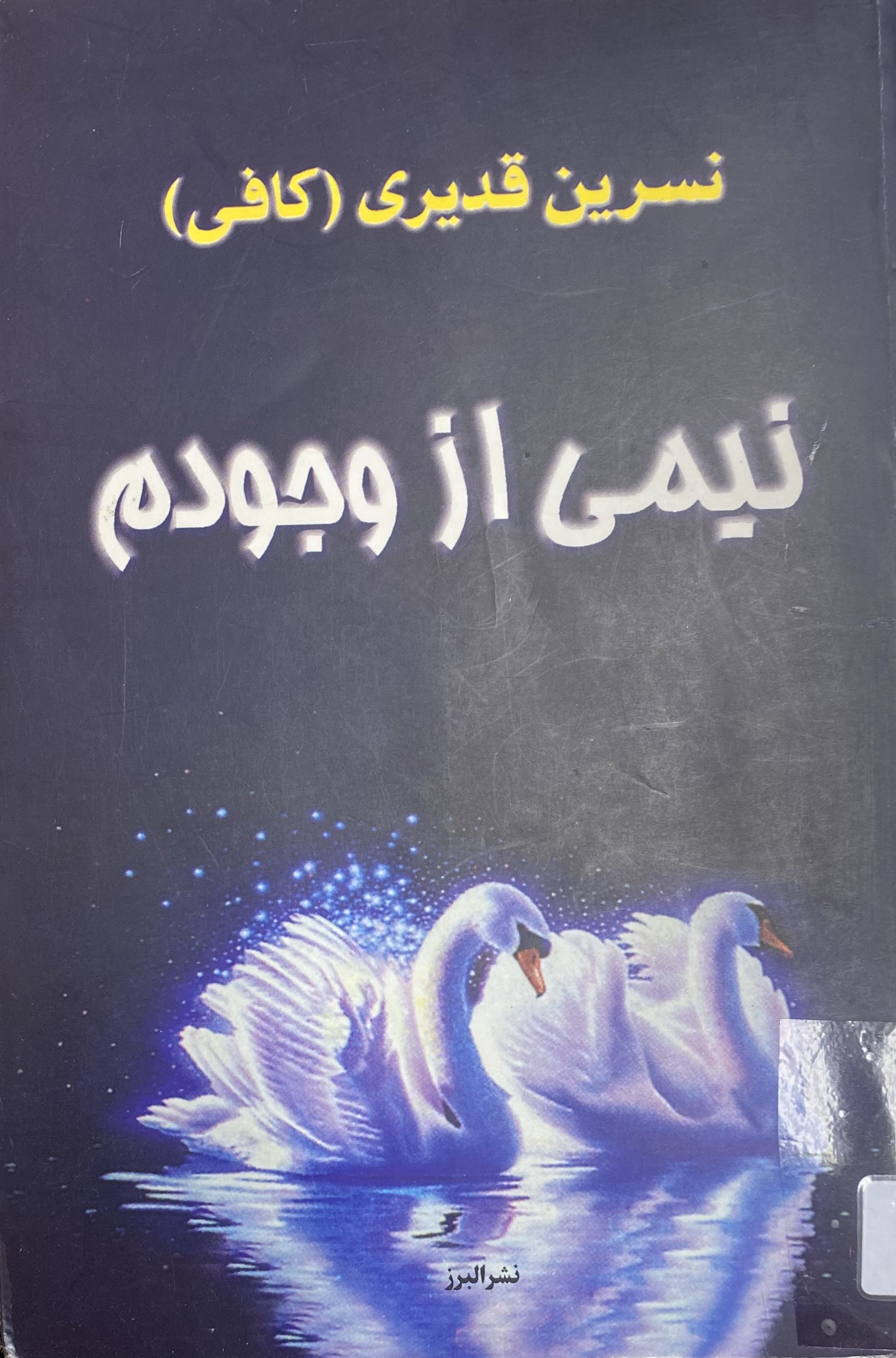 نیمی از وجودم